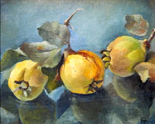 Quinces, 2011,